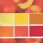 Immagine 4 azienda COLORIFICIO DUCALE Vernici in Parma