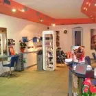 Immagine 1 azienda COLPI DI TESTA PARRUCCHIERI Servizi di bellezza in Prato