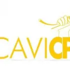 Immagine 3 azienda COM CAVI MULTIMEDIA SPA Shopping e acquisti in Napoli