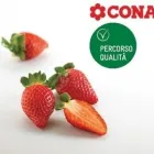 Immagine 4 azienda CONAD MARGHERITA Shopping e acquisti in San Giorgio A Cremano NA