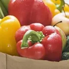 Immagine 3 azienda CONAD SUPERSTORE - ALBATROS SUPERMERCATI Shopping e acquisti in Lioni AV