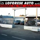 Immagine 5 azienda CONCESSIONARIA LOFORESE AUTO Veicoli in Taranto