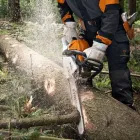 Immagine 1 azienda CONCESSIONARIO MOTOSEGHE STIHL Vivaio in Roma