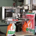 Immagine 4 azienda CONSORZIO DELLA CAROTA NOVELLA DI ISPICA IGP Servizi professionali in Ispica