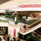 Immagine 1 azienda CONSORZIO OPERATORI CENTRO COMMERCIALE TIZIANO Utensili da cucina in San Biagio Di Callalta TV