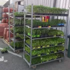 Immagine 1 azienda COOPERATIVA PRODUTTORI AGRICOLI DI CIVITAVECCHIA S.R.L. Shopping e acquisti in Civitavecchia RM