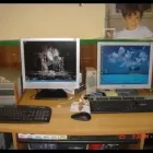 Immagine 3 azienda COPISTERIA CENTRO MICHELANGELO Tipografia digitale in Milano