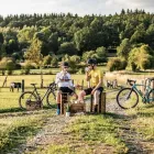 Immagine 3 azienda CORAZZIN BIKE Veicoli in Valdobbiadene TV