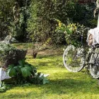 Immagine 6 azienda CORAZZIN BIKE Veicoli in Valdobbiadene TV