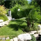 Immagine 1 azienda CORN-FLOR Vivaio in Varese