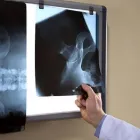 Immagine 2 azienda COTTONE DR. ANDREA Salute in Rimini