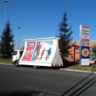 Immagine 8 azienda CP ROMA SERVICE Servizi professionali in Lido Di Ostia RM