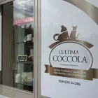 Immagine 3 azienda CREMAZIONI ARCIDIACONO Veterinario in Giarre CT