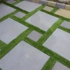 Immagine 1 azienda CREOVERDE Vivaio in Catania