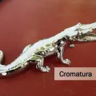 Immagine 4 azienda CROMATURA G.M.T. Servizi professionali in Castel Maggiore BO