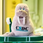 Immagine 1 azienda CSDC ODONTOIATRIA Salute in Solaro MI