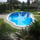 Immagine 2 azienda CURRENTI VERDE Vivaio in Giarre CT