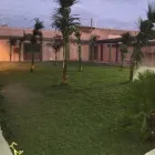 Immagine 5 azienda CURRENTI VERDE Vivaio in Giarre CT