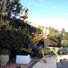 Immagine 6 azienda CURRENTI VERDE Vivaio in Giarre CT