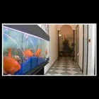 Immagine 2 azienda D'AMBROSIO DR. CLAUDIO CHIRURGO IMPLANTOLOGO SPECIALISTA ODONTOIATRIA ORTODONZIA Salute in Portici NA