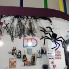 Immagine 6 azienda D&D FOR YOU Servizi professionali in Bellaria-Igea Marina RN