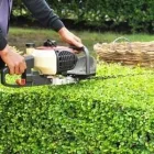 Immagine 1 azienda D.F. MULTISERVIZI Veicoli in San Giovanni La Punta CT