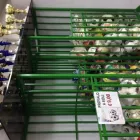 Immagine 5 azienda D.S. SPORT Trofei e distintivi in Catania