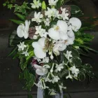 Immagine 1 azienda D’ARRIGO FIORI Shopping e acquisti in Messina