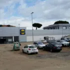Immagine 7 azienda DALANT ITALIA SHOWROOM Shopping e acquisti in Cardito NA