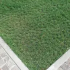 Immagine 7 azienda DALIFORM GROUP S.R.L. Shopping e acquisti in Gorgo Al Monticano TV