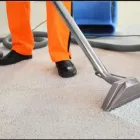 Immagine 2 azienda DAN FA NET Servizi professionali in Busto Arsizio VA