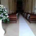 Immagine 1 azienda DANILO FLORAL DESIGNER Vivaio in Ispica