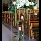 Immagine 8 azienda DANILO FLORAL DESIGNER Vivaio in Ispica