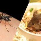 Immagine 1 azienda DDT DI BRUNO ANGELA Servizi professionali in Catania