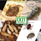 Immagine 3 azienda DDT DI BRUNO ANGELA Servizi professionali in Catania