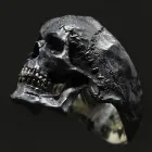 Immagine 6 azienda DECEM BY PAOLO GRILO ART Shopping e acquisti in Venezia