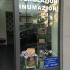 Immagine 5 azienda DELL'ANNO Servizi professionali in Portici NA