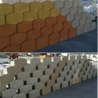 Immagine 1 azienda DELLE MONACHE VALENTINO & FIGLI SNC Vivaio in Cappelle Sul Tavo PE