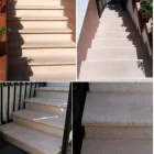 Immagine 7 azienda DELLE MONACHE VALENTINO & FIGLI SNC Vivaio in Cappelle Sul Tavo PE