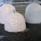 Immagine 12 azienda DELLE MONACHE VALENTINO & FIGLI SNC Vivaio in Cappelle Sul Tavo PE