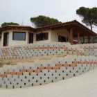 Immagine 14 azienda DELLE MONACHE VALENTINO & FIGLI SNC Vivaio in Cappelle Sul Tavo PE