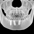 Immagine 2 azienda DENTISTA DOTT. DI SANTI GIUSEPPE Salute in Porto Ercole