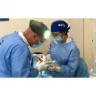 Immagine 2 azienda DENTISTA PISA - IRIS COMPAGNIA ODONTOIATRICA Salute in Pisa
