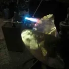 Immagine 2 azienda DI DONNA ALFONSO Veicoli in Lido Di Ostia RM