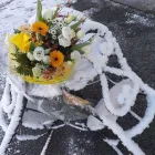 Immagine 1 azienda DI FIORE IN FIORE Shopping e acquisti in Volvera TO