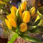 Immagine 5 azienda DI FIORE IN FIORE Shopping e acquisti in Volvera TO