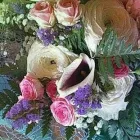 Immagine 7 azienda DI FIORE IN FIORE Shopping e acquisti in Volvera TO