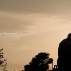 Immagine 6 azienda DI TOMMASO PHOTOGRAPHY Servizi professionali in Arzano NA