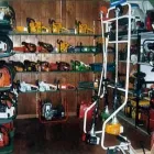 Immagine 1 azienda DISCEPOLI SILVANO Vivaio in Ancona