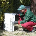 Immagine 1 azienda DISINFEST CONTROL Immobiliare e ristrutturazioni in Pescara